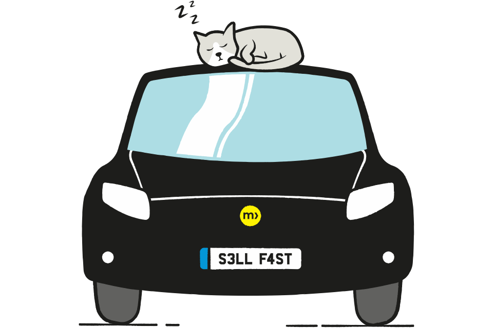 car valuation cat clipart