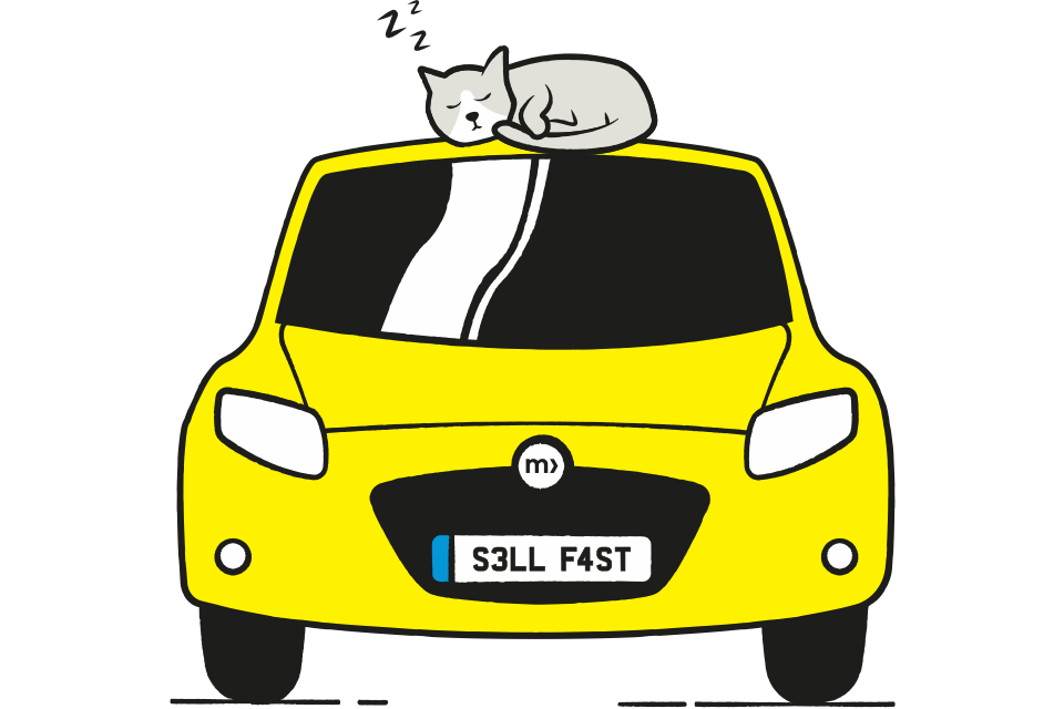 yellow car with cat on top