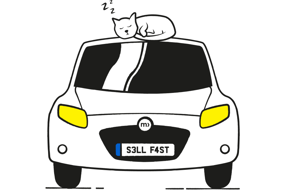 car dealers as buyers