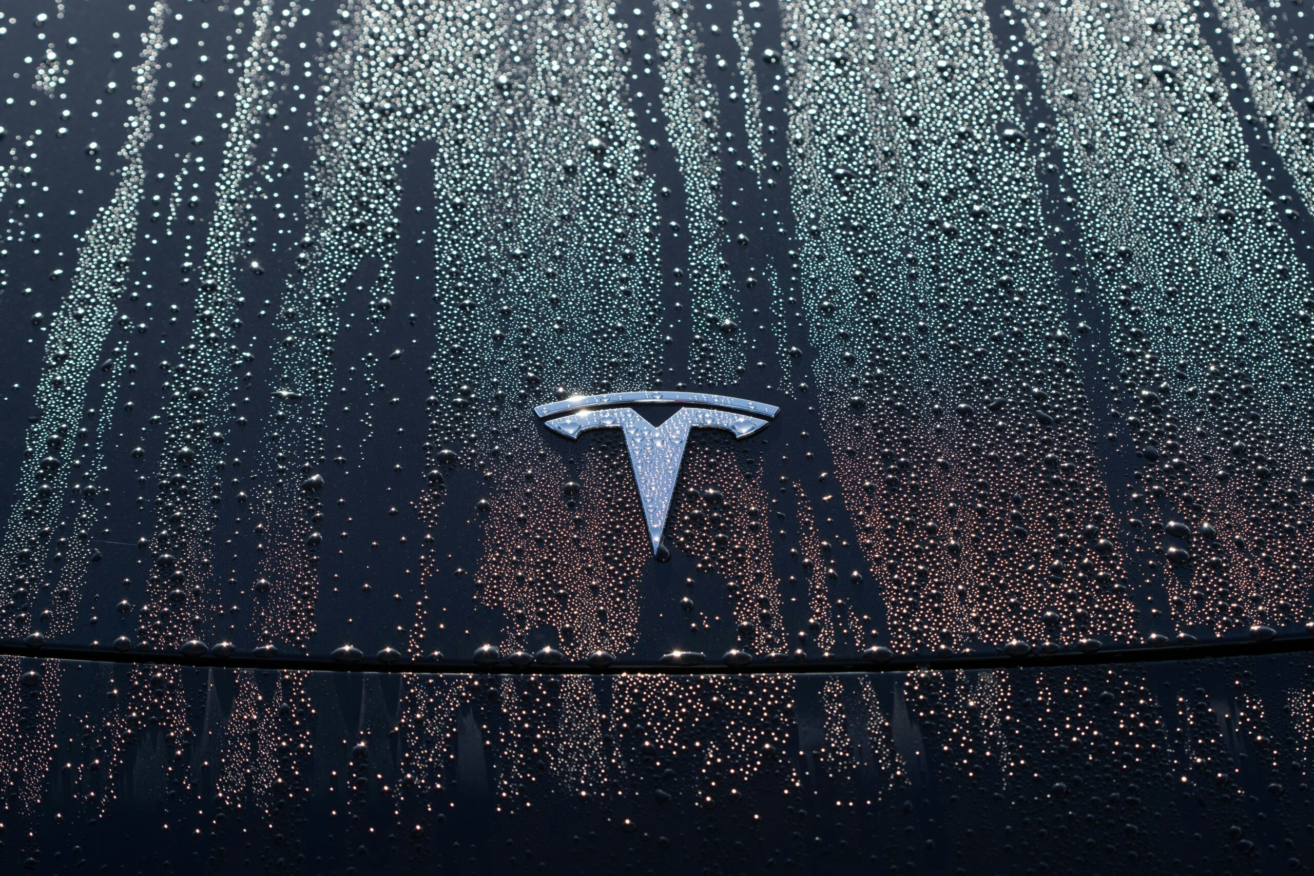 the tesla badge